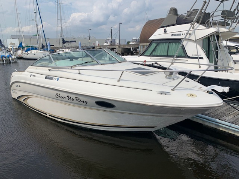 シーレイ 245写真