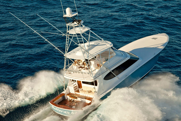 SPORTFISH Series